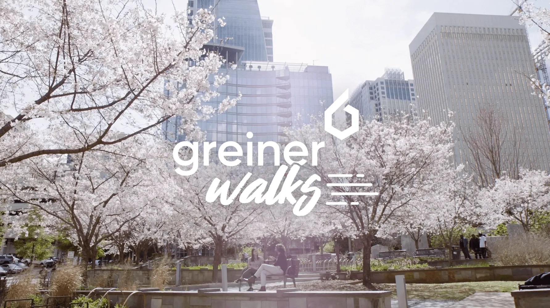 Greiner - Gallery